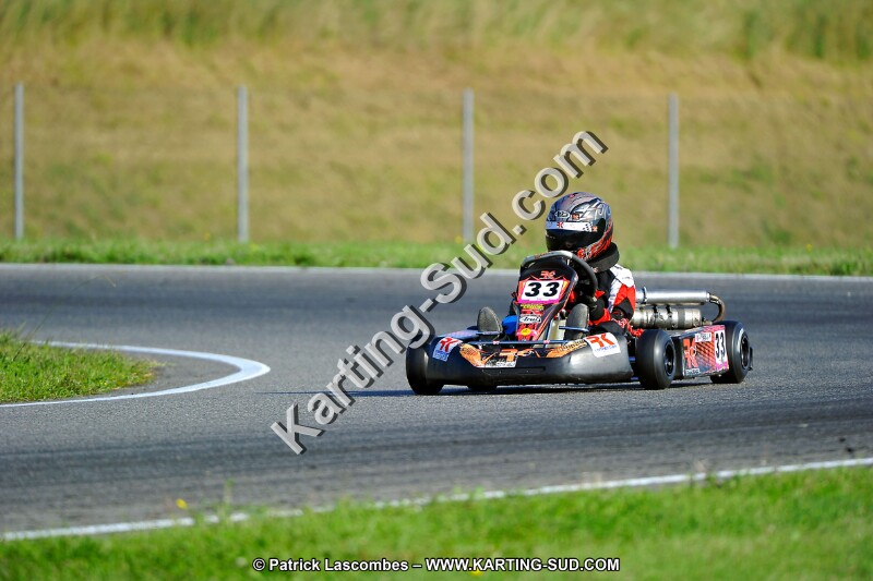 DSC_ (920).jpg